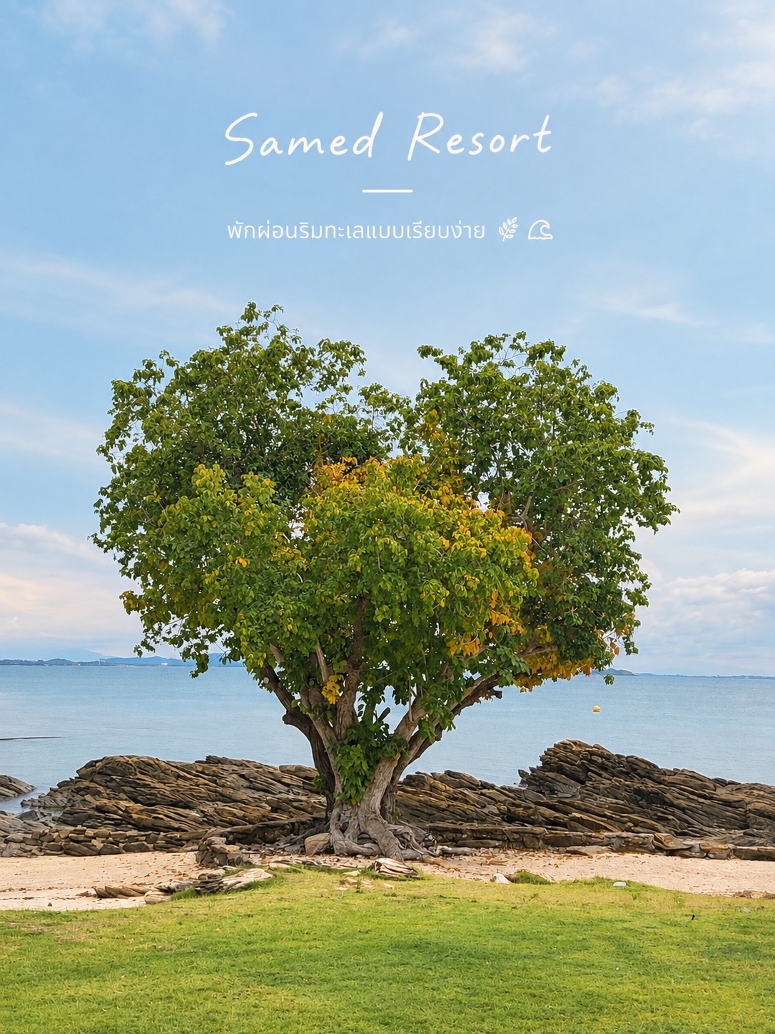 🌴 รีวิวเที่ยวเกาะเสม็ด จ.ระยอง

เกาะเสม็ด 🌊
ทะเลสวย น้ำใส บรรยากาศชิล เหมาะกับการมาพักผ่อนแบบไม่ต้องเร่งรีบ

✨ ไฮไลต์ที่ชอบ

· 🏝️ หาดทรายสวย น้ำทะเลสีฟ้า เหมาะกับการเล่นน้ำและนั่งชมวิว
· 🌅 ช่วงเย็นบรรยากาศดีมาก เหมาะกับการชมพระอาทิตย์ตก
· 🪨 มีมุมโขดหินและชายหาดสวย ๆ ให้ถ่ายรูป
· 🌿 บรรยากาศบนเกาะเรียบง่าย เหมาะกับการพักใจ
· 🍤 มีร้านอาหารและคาเฟ่ให้เลือกหลายแบบ

ความรู้สึกโดยรวม
เกาะเสม็ดเป็นอีกหนึ่งที่เที่ยวทะเลที่เหมาะกับวันหยุดสั้น ๆ อยากหนีความวุ่นวาย มานั่งฟังเสียงคลื่น สูดอากาศทะเล และใช้เวลาแบบสบาย ๆ 💙

📍 เกาะเสม็ด จ.ระยอง
“บางครั้งการพักผ่อนที่ดีที่สุด…ก็แค่มีทะเลอยู่ตรงหน้า” 🌊🤍

#เกาะเสม็ด #เที่ยวระยอง #ทะเลระยอง #เที่ยวทะเล #รีวิวที่เที่ยว #SamedIsland #Rayong #เที่ยวไทย
