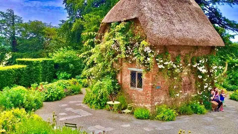 Somerset Feels Like A Hidden Fairytale 🌺 — traveler post in Minehead