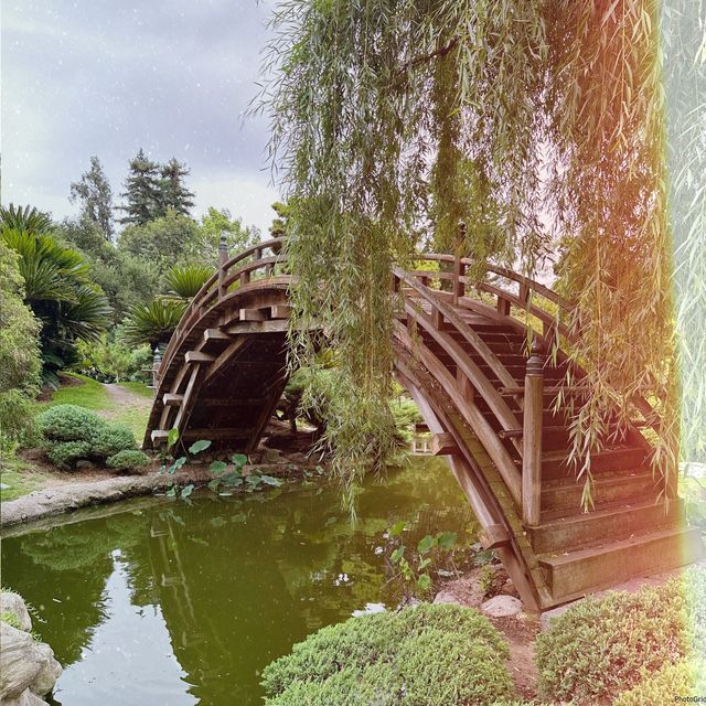 Huntington Garden