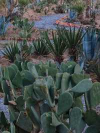 Parque Central en Borderland