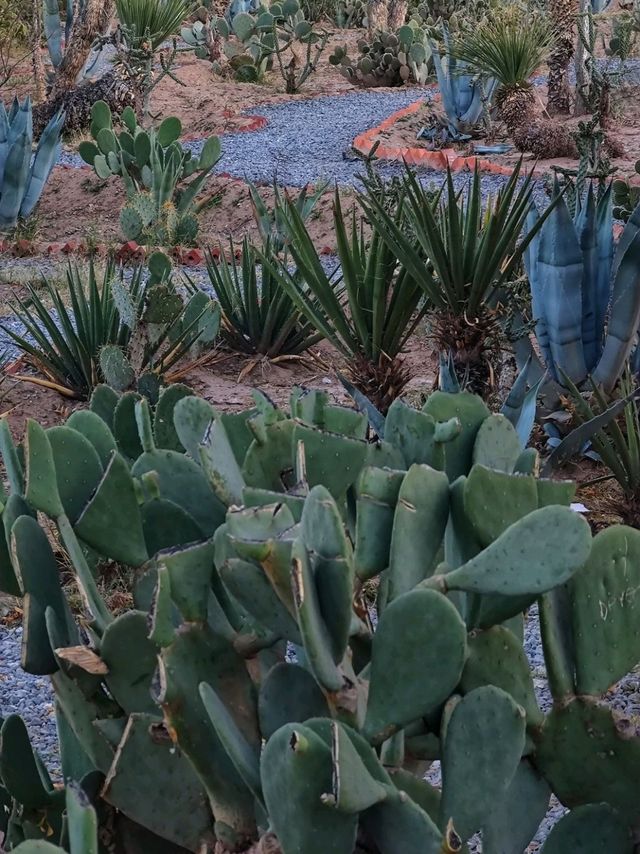 Parque Central en Borderland