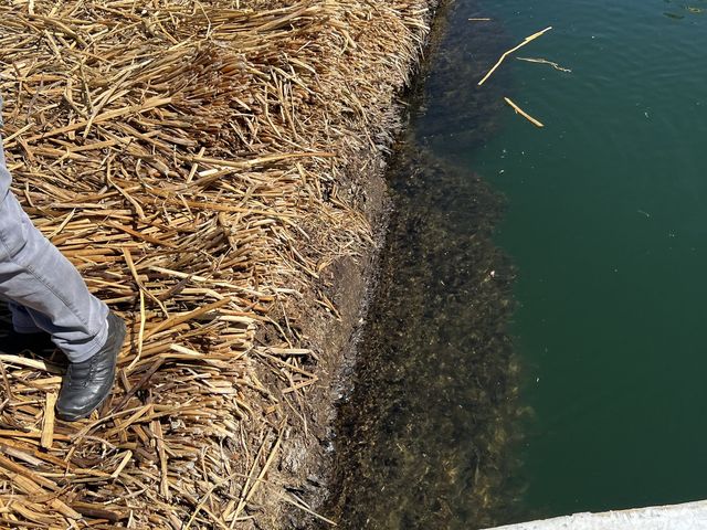 【ウロス島】チチカカ湖に浮かぶ島