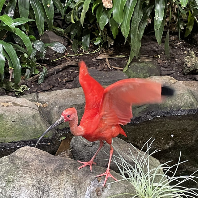 值得一去的溫哥華水族館