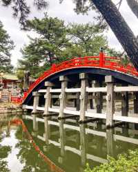 the beautiful bridge and its' reflection