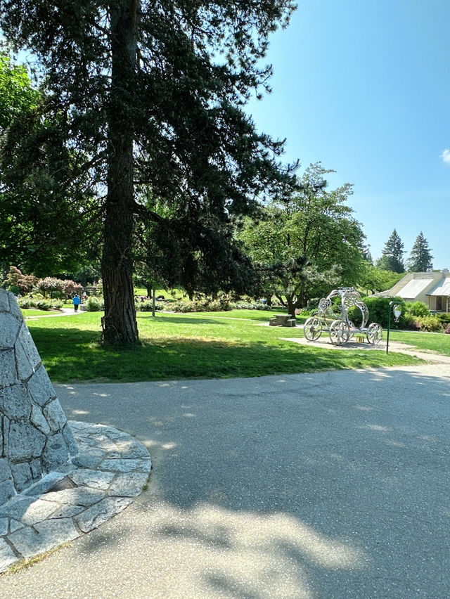 Vancouver한인타운 근처에 한번쯤 꼭 가볼만한 Burnaby Mountain Park👍🏻