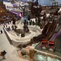 Snow in Dubai - Ski Dubai 🏔️