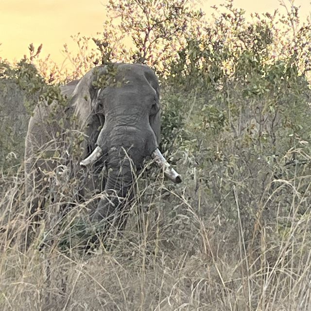 Kruger National Park