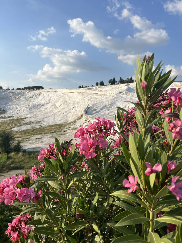 Cotton castle or Pamukkale 