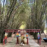 Bamboo Forest 