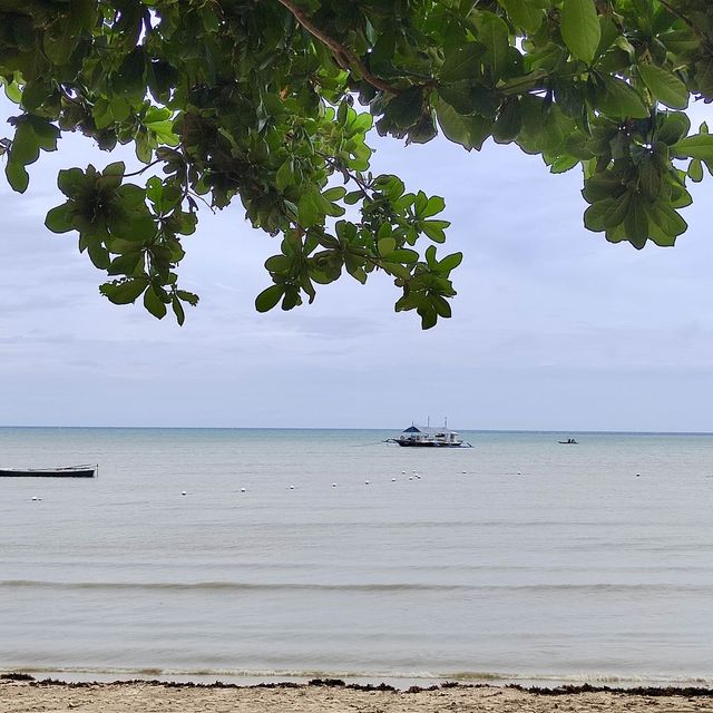 The Soothing Sounds of Daanbantayan 🌊