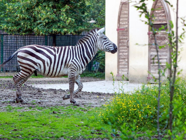 Zoo Zagreb 🦏