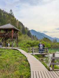 Zelenci Nature Reserve