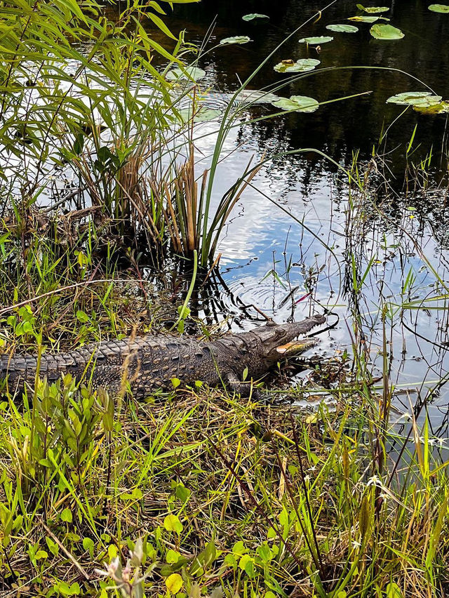 Everglades National Park