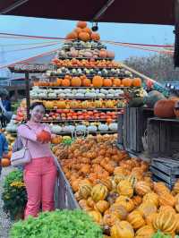 Gertrudenhof; Beautiful Farmer’s Market In Germany