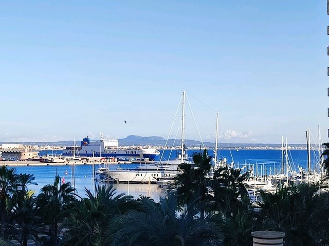 Palma de Mallorca in December