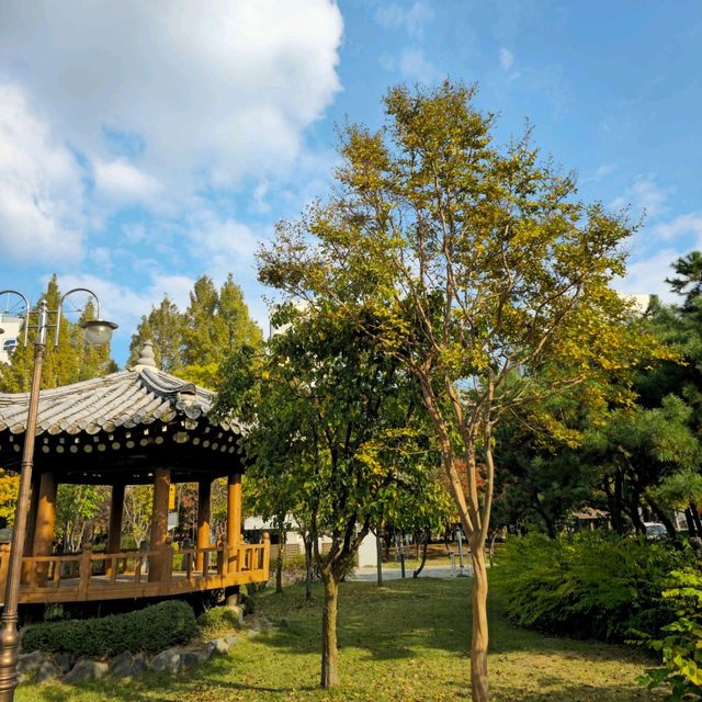 국내여행 대전 둔산동에 위치한 작고 예쁜 공원인 씨애틀공원