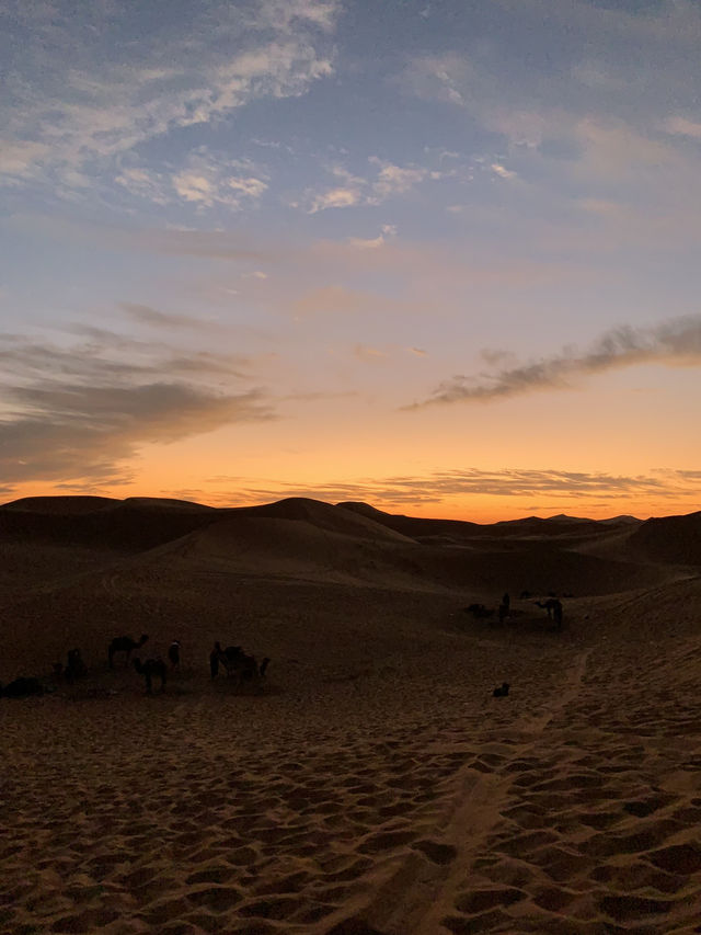 A Journey to the Sands of Serenity – Worth Every Mile!
