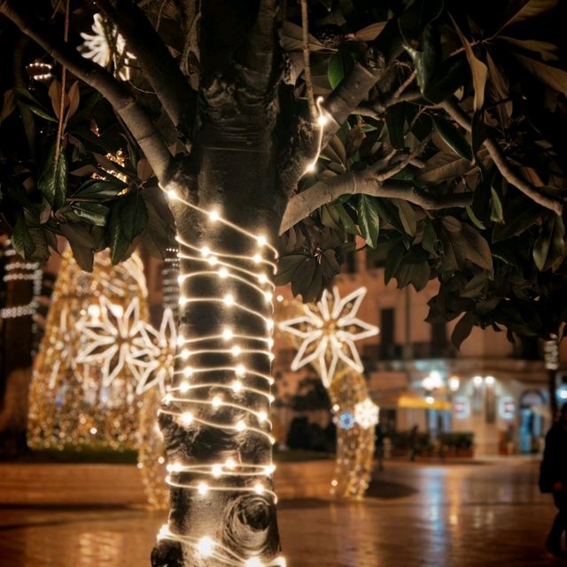 A Street Full of Lights