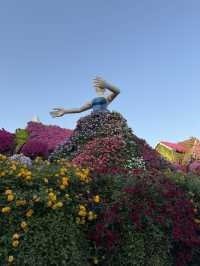 Dubai Miracle Garden: A Floral Wonderland! 🌸✨🇦🇪