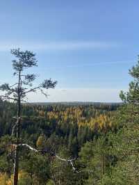 “Spent a perfect autumn day hiking in Nuuksio National Park, Finland🍂🌲