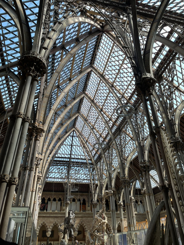 London Day Trip to Pitts Rivers Museum