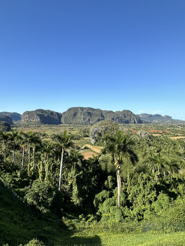 Viñales is a real pearl of Cuba!
