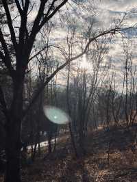 Short but beautiful Trip to Kislovodsk