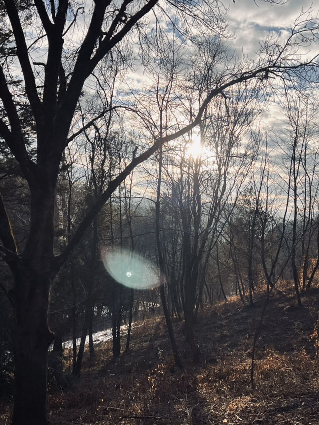 Short but beautiful Trip to Kislovodsk