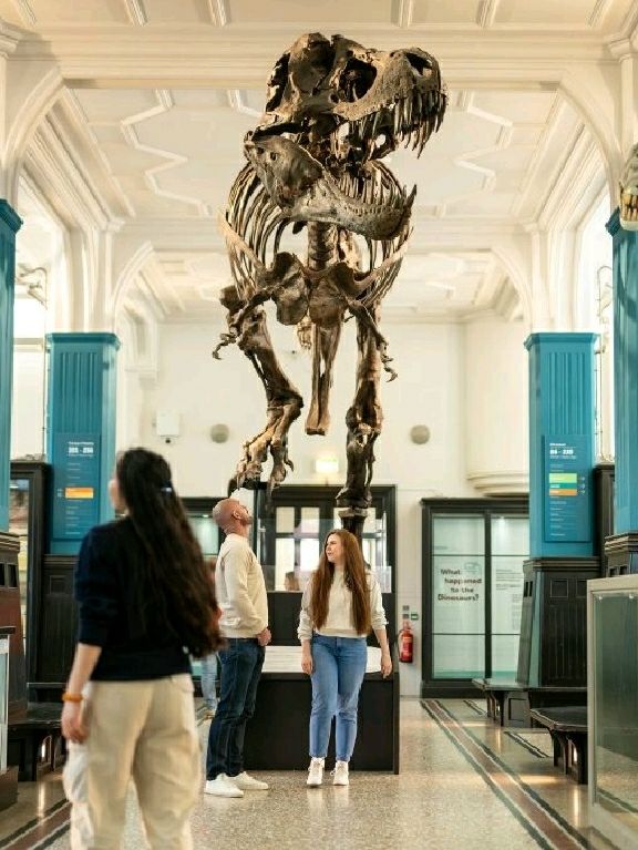 Experience Manchester like a Local 🐝🎶