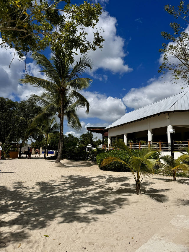 Full diving guide @Bayahibe 🇩🇴