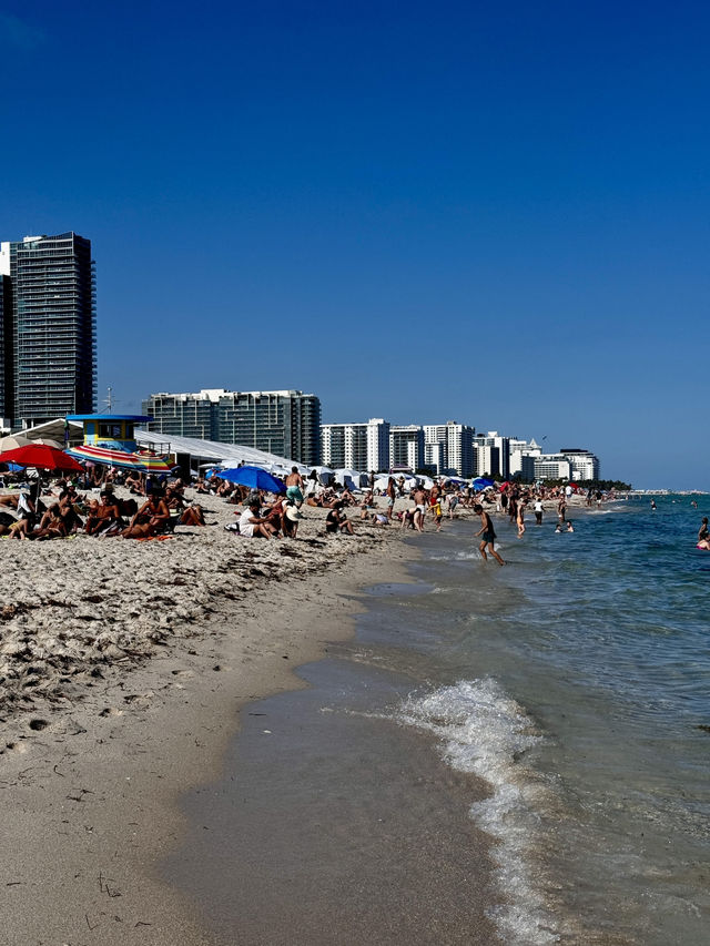 Our 3-Day Miami Beach Adventure! 🌴🌊