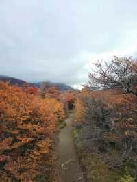 해외여행 엘 찰텐의 아름다운 Sendero madre e Hija con Torre 하이킹 