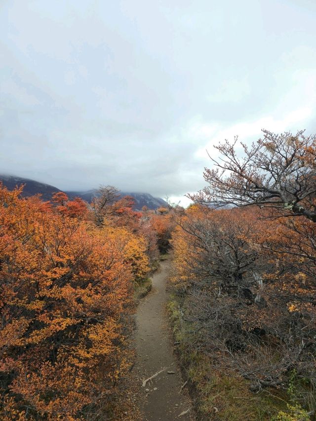 해외여행 엘 찰텐의 아름다운 Sendero madre e Hija con Torre 하이킹 