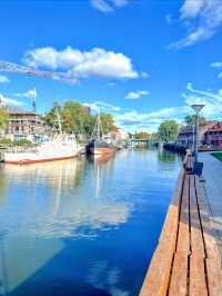 The Black Ghost of Klaipeda🇱🇹