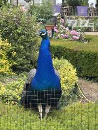 Warwick castle