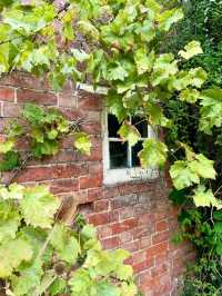 🌿 Rousham Gardens – England’s Timeless Landscape Escape