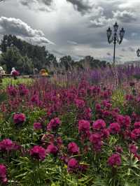 The Indian festival in the heart ❤️ of Moskow 