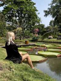 Here I felt myself as Thumbelina 🌿 Bình Quới Tourist Village
