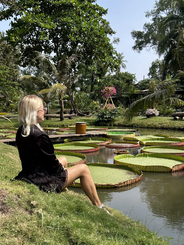 Here I felt myself as Thumbelina 🌿 Bình Quới Tourist Village