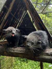 Signature Phu Quoc Safari ! Must see!