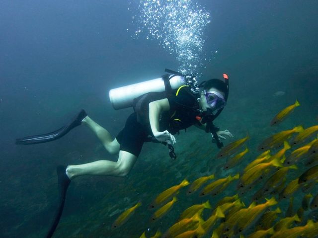 Diving into Ko Phi Phi