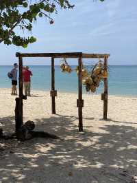 Varadero’s sun-kissed vibes are matched only by its vibrant dining scene
