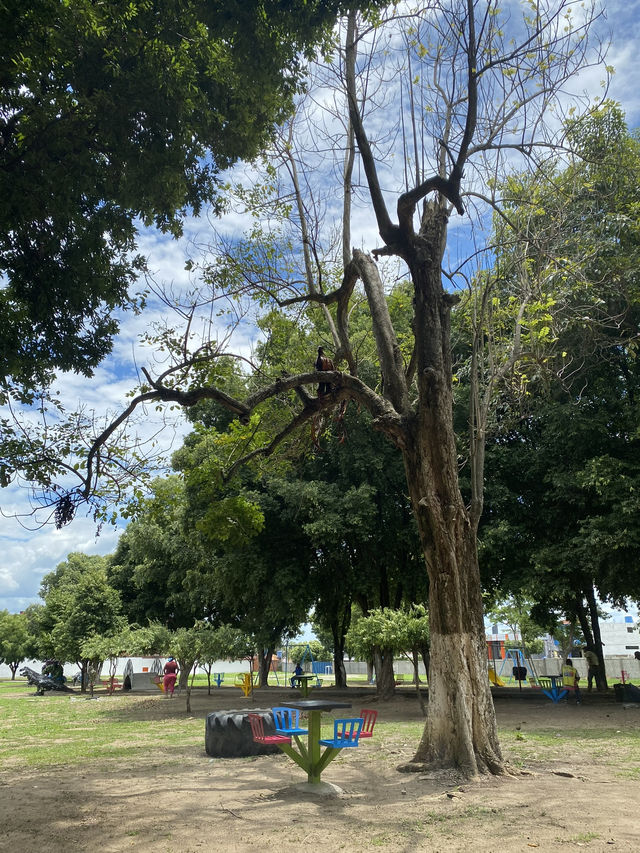 Venezuela Trip: Exploring the least Visited Country in South America!