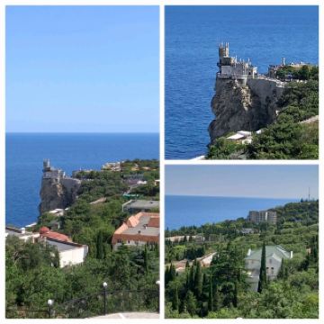 크림에서의 멋진 선물들!