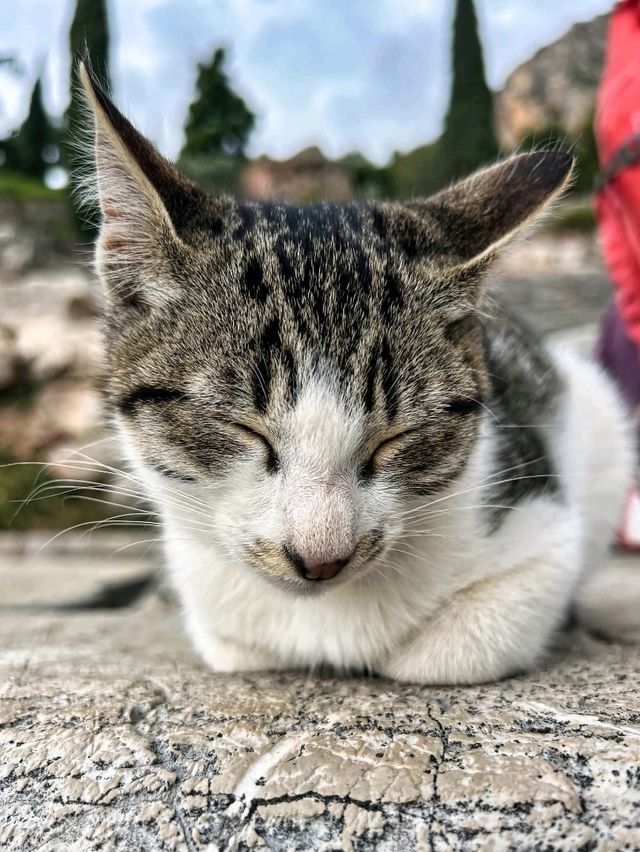 Ancient Ruins Magic✨