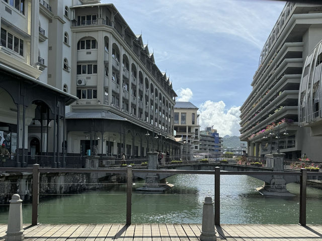 Mauritius Magic🌴 Mauritius Magic🌴