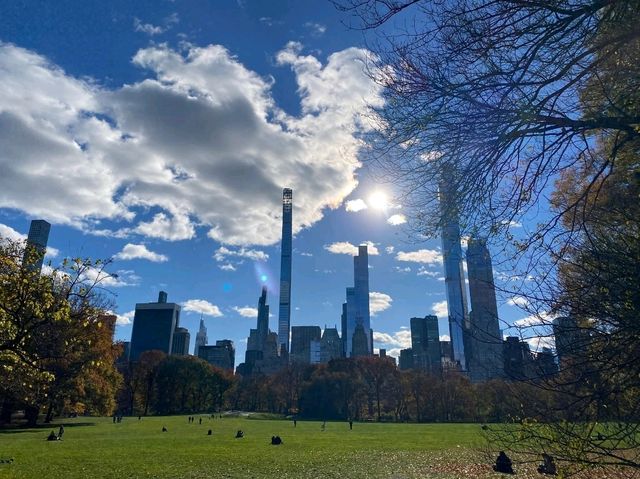 Urban Vibes NYC 🌆