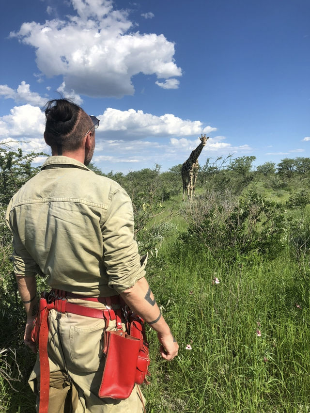 Намибия: дикая, красивая и удивительно доступная