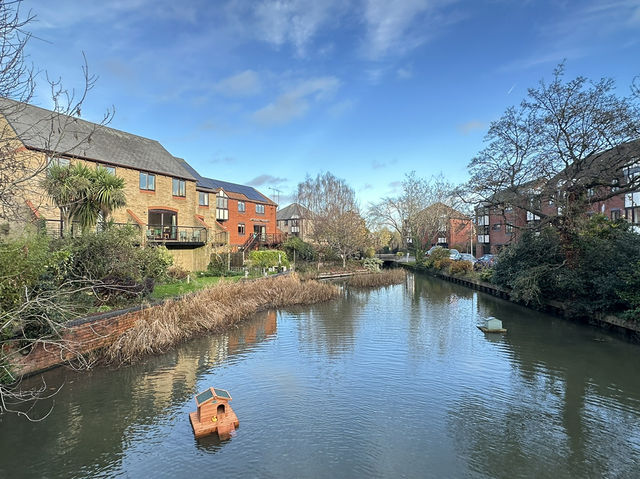 華麗轉身:荒廢船塢變身現代綠洲豪宅