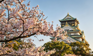 🏯 為什麼大阪城至今仍是日本最偉大的地標之一